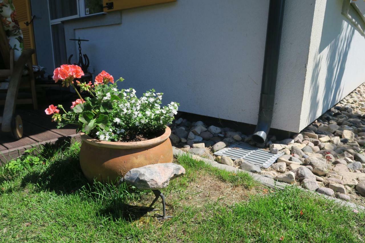 Apartmenti Zvejniekciema Saulkrasti Esterno foto